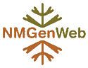 NMGenWeb logo